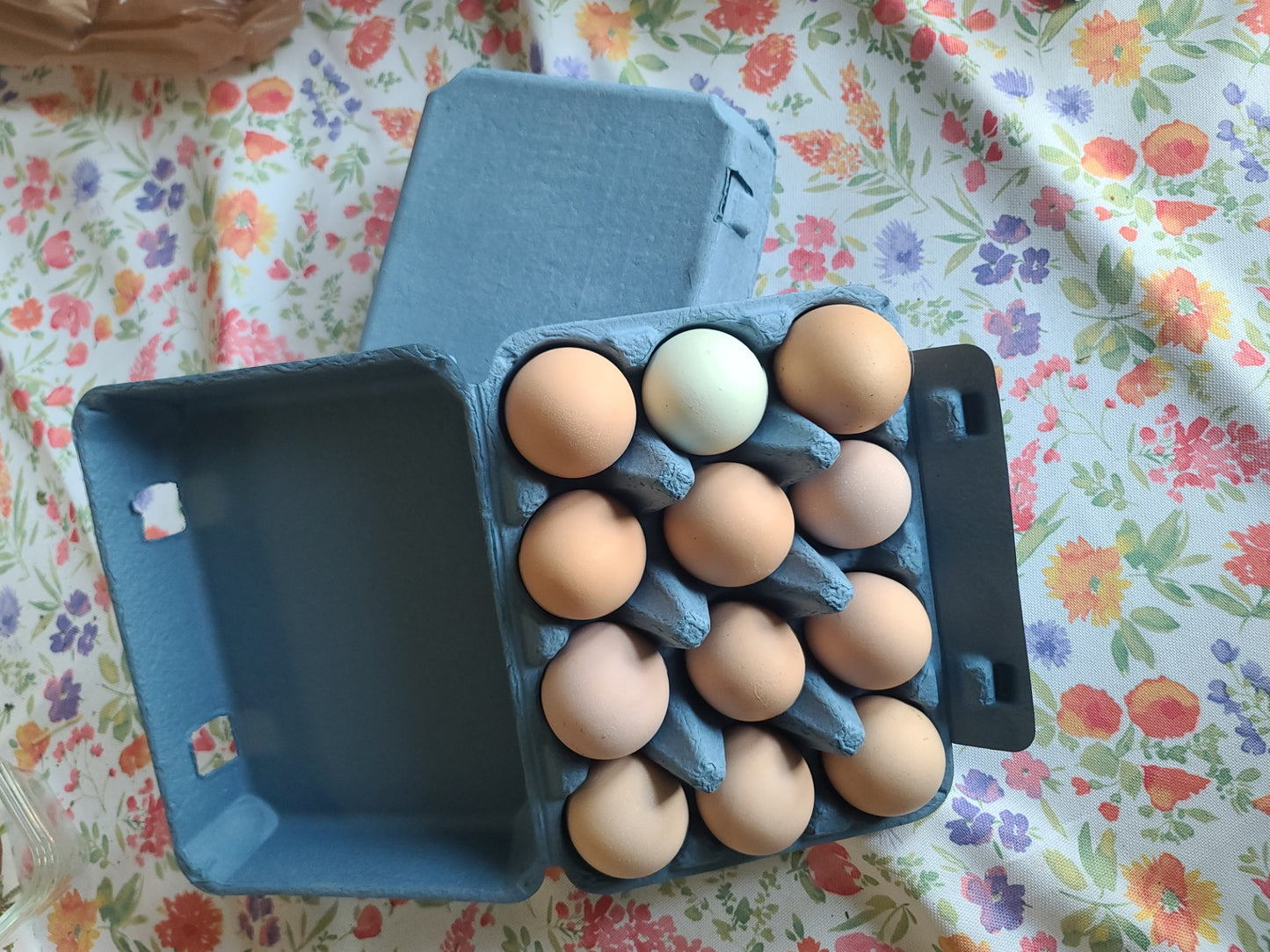 Pastured Chicken Eggs